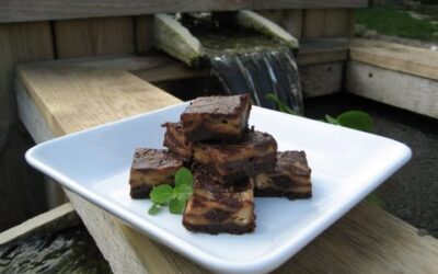 Brownies and Beer