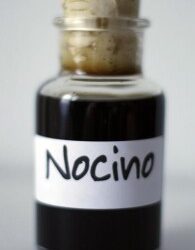 Christmas and New Years